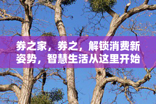 券之家，券之，解锁消费新姿势，智慧生活从这里开始