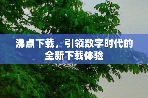 沸点下载,引领数字时代的全新下载体验 沸点下载,引领数字时代的全新下载体验