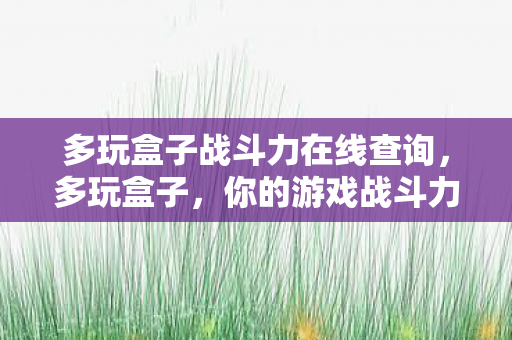 多玩盒子战斗力在线查询,多玩盒子,你的游戏战斗力查询神器 多玩盒子战斗力在线查询,多玩盒子,你的游戏战斗力查询神器
