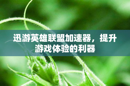 迅游英雄联盟加速器，提升游戏体验的利器