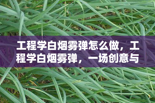 工程学白烟雾弹怎么做,工程学白烟雾弹,一场创意与智慧的博弈 工程学白烟雾弹怎么做,工程学白烟雾弹,一场创意与智慧的博弈