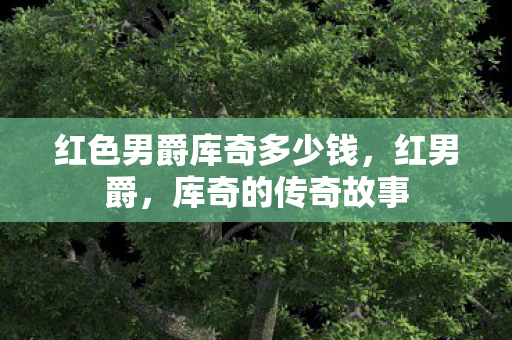 红色男爵库奇多少钱，红男爵，库奇的传奇故事