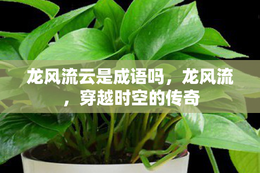 龙风流云是成语吗，龙风流，穿越时空的传奇
