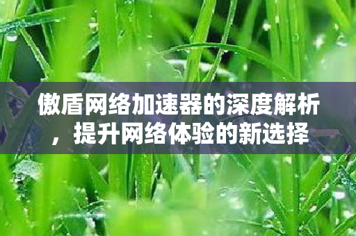 傲盾网络加速器的深度解析,提升网络体验的新选择 傲盾网络加速器的深度解析,提升网络体验的新选择