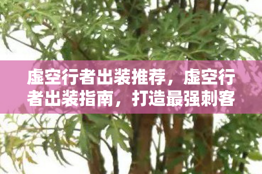 虚空行者出装推荐，虚空行者出装指南，打造最强刺客的装备搭配