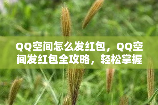 QQ空间怎么发红包，QQ空间发红包全攻略，轻松掌握发红包的步骤与技巧