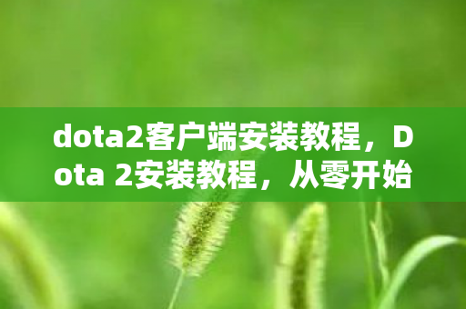 dota2客户端安装教程，Dota 2安装教程，从零开始，轻松上手