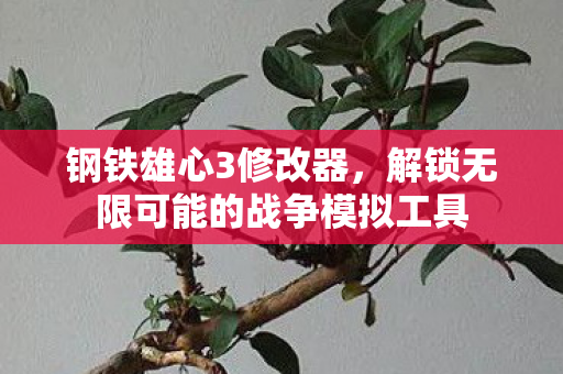 钢铁雄心3修改器，解锁无限可能的战争模拟工具