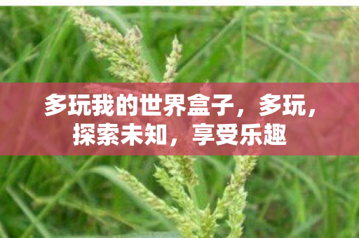 多玩我的世界盒子,多玩,探索未知,享受乐趣 多玩我的世界盒子,多玩,探索未知,享受乐趣