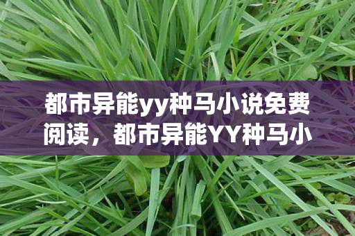 都市异能yy种马小说免费阅读，都市异能YY种马小说，探索未知与超越现实的幻想之旅
