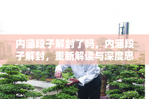 内涵段子解封了吗，内涵段子解封，重新解读与深度思考