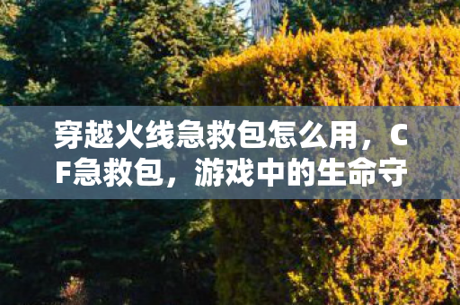 穿越火线急救包怎么用，CF急救包，游戏中的生命守护者