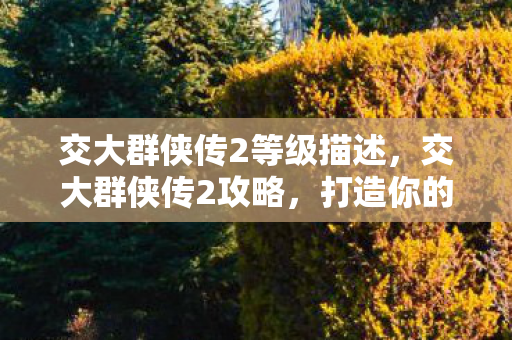 交大群侠传2等级描述，交大群侠传2攻略，打造你的江湖传奇