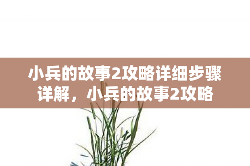小兵的故事2攻略详细步骤详解,小兵的故事2攻略 小兵的故事2攻略详细步骤详解,小兵的故事2攻略