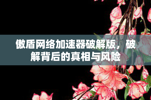 傲盾网络加速器破解版,破解背后的真相与风险 傲盾网络加速器破解版,破解背后的真相与风险