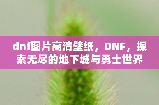 dnf图片高清壁纸，DNF，探索无尽的地下城与勇士世界