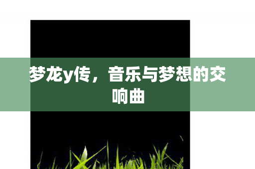 梦龙y传，音乐与梦想的交响曲