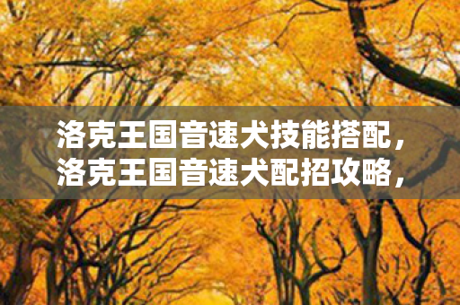 洛克王国音速犬技能搭配，洛克王国音速犬配招攻略，打造最强战斗伙伴