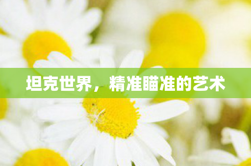 坦克世界，精准瞄准的艺术