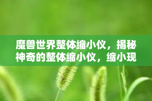 魔兽世界整体缩小仪，揭秘神奇的整体缩小仪，缩小现实与未来的交汇点