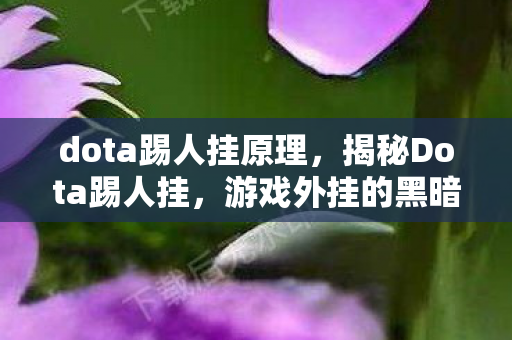 dota踢人挂原理,揭秘Dota踢人挂,游戏外挂的黑暗面 dota踢人挂原理,揭秘Dota踢人挂,游戏外挂的黑暗面