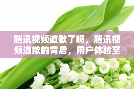 腾讯视频道歉了吗，腾讯视频道歉的背后，用户体验至上的转变与反思