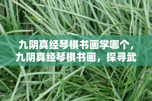 九阴真经琴棋书画学哪个，九阴真经琴棋书画，探寻武侠世界中的文化韵味