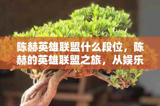 陈赫英雄联盟什么段位,陈赫的英雄联盟之旅,从娱乐到竞技的跨界探索 陈赫英雄联盟什么段位,陈赫的英雄联盟之旅,从娱乐到竞技的跨界探索