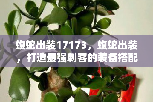 蝮蛇出装17173,蝮蛇出装,打造最强刺客的装备搭配指南 蝮蛇出装17173,蝮蛇出装,打造最强刺客的装备搭配指南