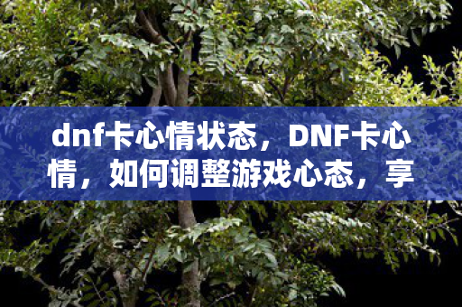 dnf卡心情状态,DNF卡心情,如何调整游戏心态,享受最佳游戏体验 dnf卡心情状态,DNF卡心情,如何调整游戏心态,享受最佳游戏体验