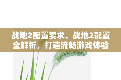 战地2配置要求,战地2配置全解析,打造流畅游戏体验 战地2配置要求,战地2配置全解析,打造流畅游戏体验