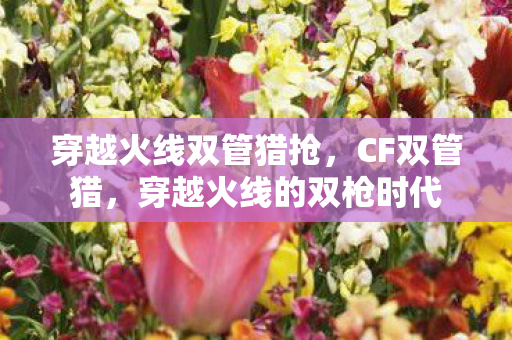 穿越火线双管猎抢,CF双管猎,穿越火线的双枪时代 穿越火线双管猎抢,CF双管猎,穿越火线的双枪时代