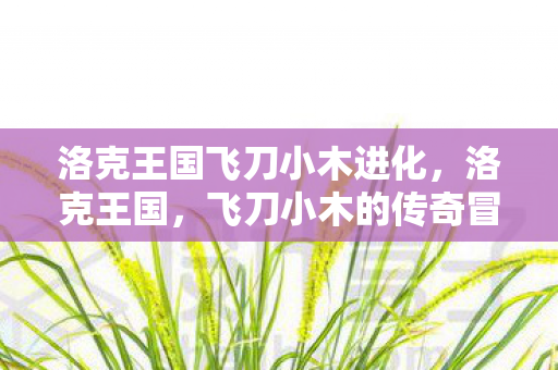 洛克王国飞刀小木进化,洛克王国,飞刀小木的传奇冒险 洛克王国飞刀小木进化,洛克王国,飞刀小木的传奇冒险
