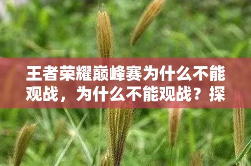 王者荣耀巅峰赛为什么不能观战,为什么不能观战?探究游戏设计中的观战限制 王者荣耀巅峰赛为什么不能观战,为什么不能观战?探究游戏设计中的观战限制