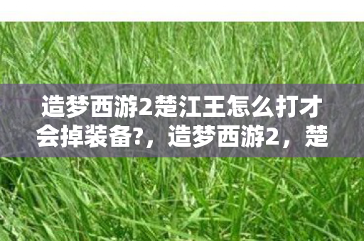造梦西游2楚江王怎么打才会掉装备?,造梦西游2,楚江王的挑战攻略 造梦西游2楚江王怎么打才会掉装备?,造梦西游2,楚江王的挑战攻略