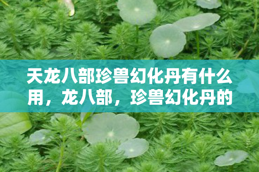 天龙八部珍兽幻化丹有什么用,龙八部,珍兽幻化丹的神秘之旅 天龙八部珍兽幻化丹有什么用,龙八部,珍兽幻化丹的神秘之旅