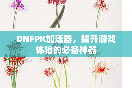 DNFPK加速器，提升游戏体验的必备神器