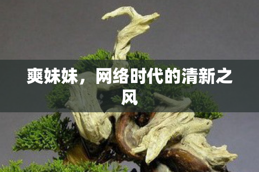 爽妹妹，网络时代的清新之风