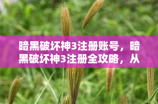 暗黑破坏神3注册全攻略图片