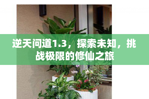 挑战极限的修仙之旅图片