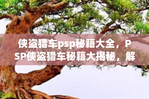 侠盗猎车psp秘籍大全,PSP侠盗猎车秘籍大揭秘,解锁无限乐趣与自由 侠盗猎车psp秘籍大全,PSP侠盗猎车秘籍大揭秘,解锁无限乐趣与自由