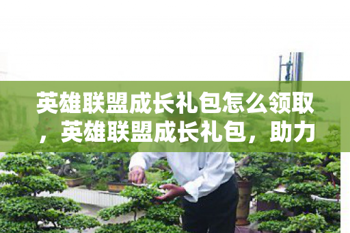 英雄联盟成长礼包怎么领取，英雄联盟成长礼包，助力你的游戏之旅