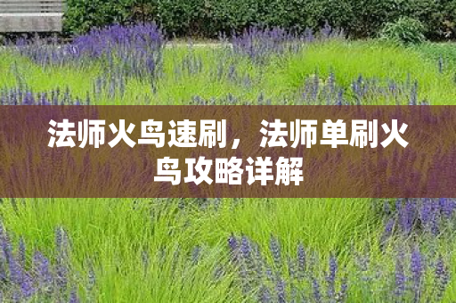 法师火鸟速刷，法师单刷火鸟攻略详解