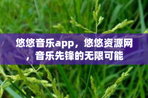 悠悠音乐app，悠悠资源网，音乐先锋的无限可能