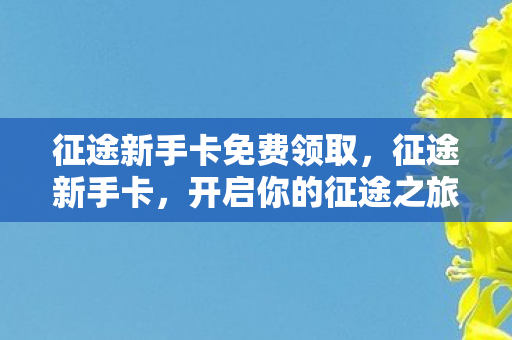 征途新手卡免费领取,征途新手卡,开启你的征途之旅 征途新手卡免费领取,征途新手卡,开启你的征途之旅