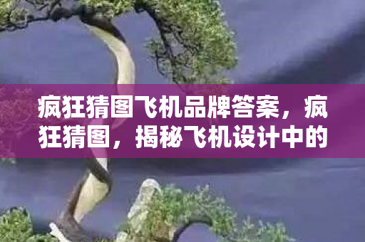 疯狂猜图飞机品牌答案,疯狂猜图,揭秘飞机设计中的奥秘 疯狂猜图飞机品牌答案,疯狂猜图,揭秘飞机设计中的奥秘