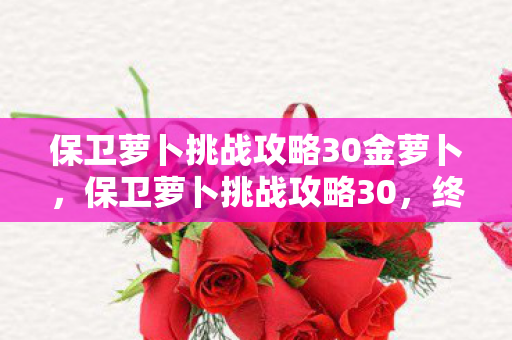 保卫萝卜挑战攻略30金萝卜,保卫萝卜挑战攻略30,终极策略与技巧 保卫萝卜挑战攻略30金萝卜,保卫萝卜挑战攻略30,终极策略与技巧