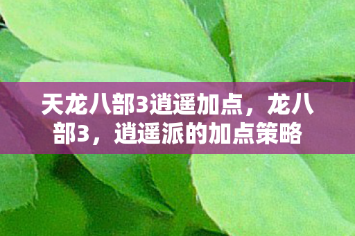 天龙八部3逍遥加点,龙八部3,逍遥派的加点策略 天龙八部3逍遥加点,龙八部3,逍遥派的加点策略