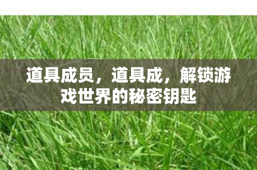 道具成员，道具成，解锁游戏世界的秘密钥匙