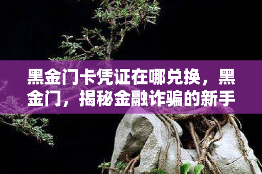 黑金门卡凭证在哪兑换，黑金门，揭秘金融诈骗的新手法与防范策略